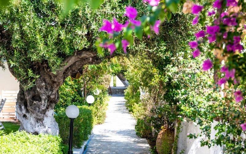 Romantica hotel Karpathos Esterno foto